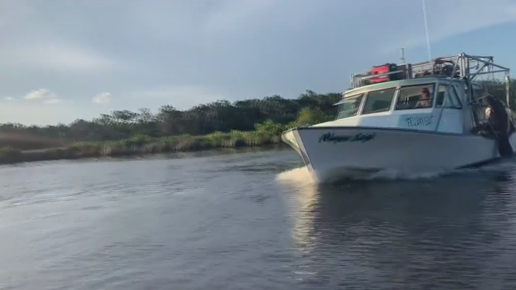 Take a tour of the Homosassa River